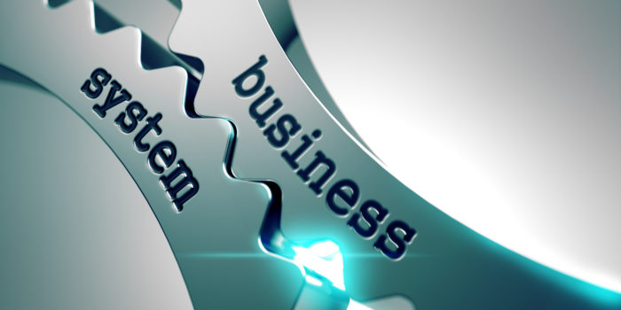 Systemize Internal Operations And Build Your Business Value
